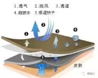 定型機,涂層機,地毯機,地毯背膠機,靜電植絨機