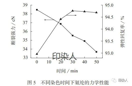 定型機,涂層機,地毯機,地毯背膠機,靜電植絨機