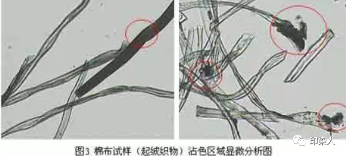 定型機,涂層機,地毯機,地毯背膠機,靜電植絨機